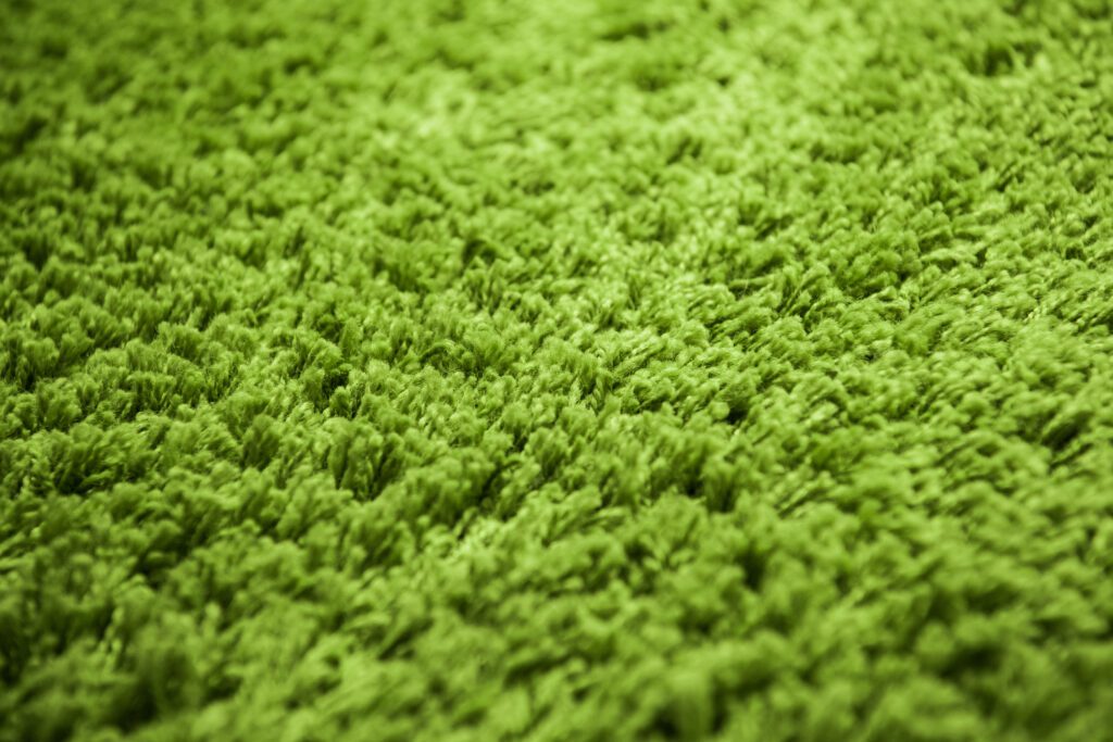 Shag Carpet | Flooring Source Of Texas - No.1 Best Flooring